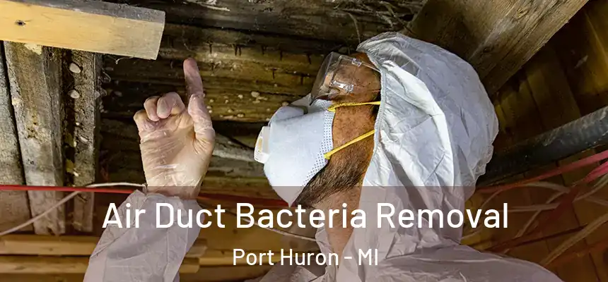 Air Duct Bacteria Removal Port Huron - MI