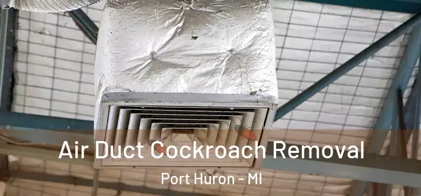 Air Duct Cockroach Removal Port Huron - MI