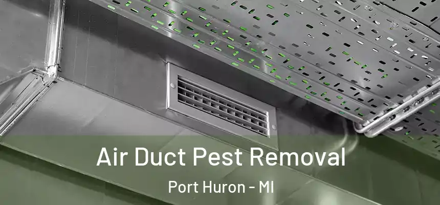  Air Duct Pest Removal Port Huron - MI
