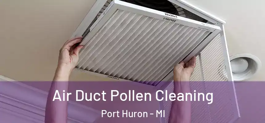 Air Duct Pollen Cleaning Port Huron - MI