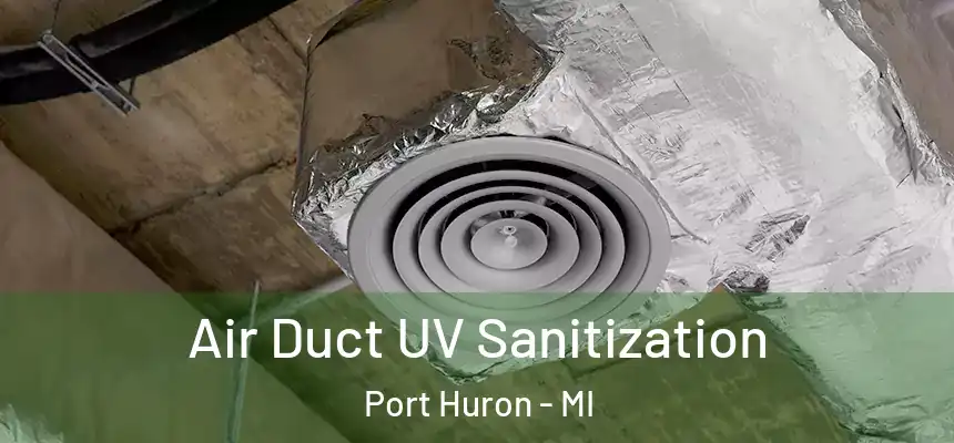 Air Duct UV Sanitization Port Huron - MI