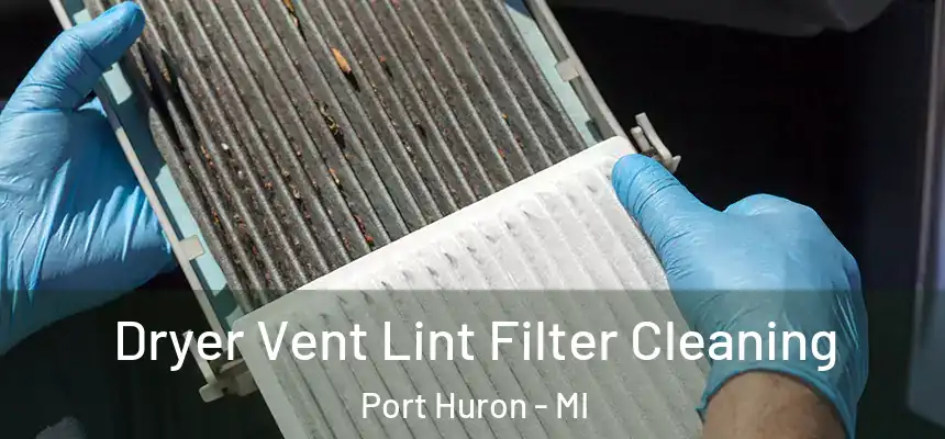  Dryer Vent Lint Filter Cleaning Port Huron - MI