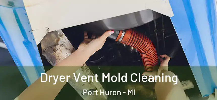  Dryer Vent Mold Cleaning Port Huron - MI