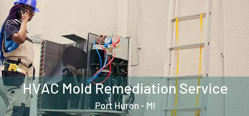 HVAC Mold Remediation Service Port Huron - MI