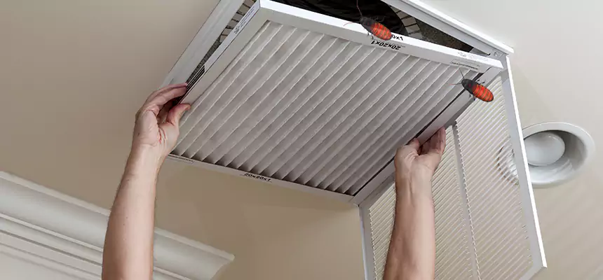 Preventive Cockroach-Proofing for Ducts in Port Huron