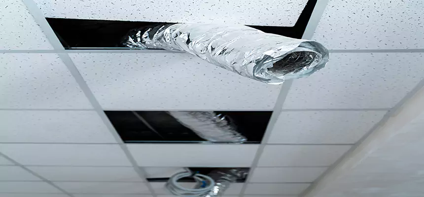 Our Air Duct Pet Hair Removal Services in Port Huron, MI