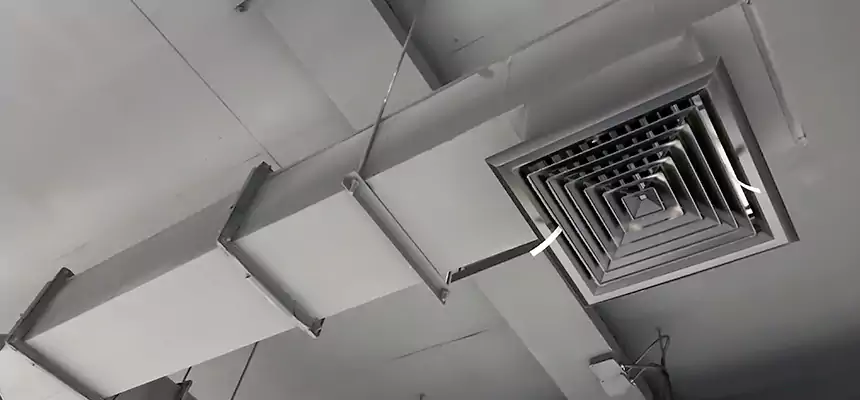 Our Rodent Droppings In Vents Services in Port Huron, MI