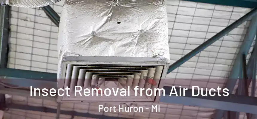  Insect Removal from Air Ducts Port Huron - MI