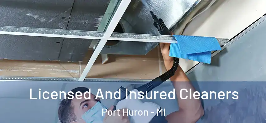 Licensed And Insured Cleaners Port Huron - MI