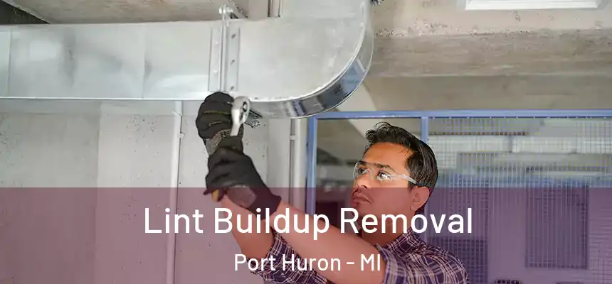  Lint Buildup Removal Port Huron - MI
