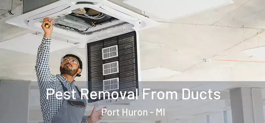Pest Removal From Ducts Port Huron - MI