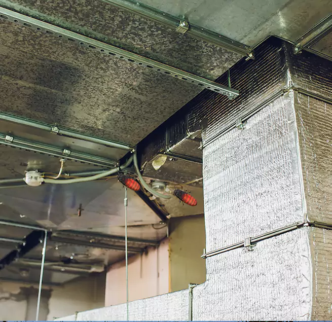 Why Homeowners & Businesses Trust Us in Port Huron, MI?