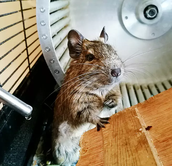 Why Homeowners & Businesses Trust Us Port Huron, MI