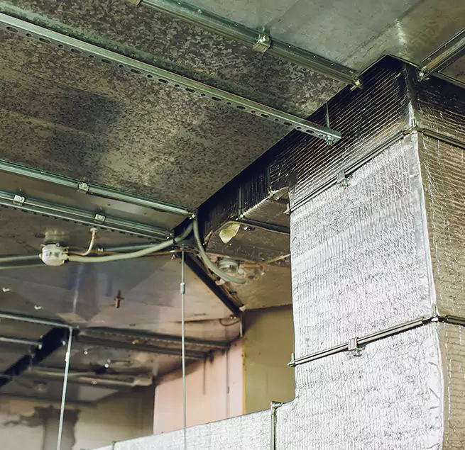 Why Homeowners & Businesses Trust Us in Port Huron, MI?